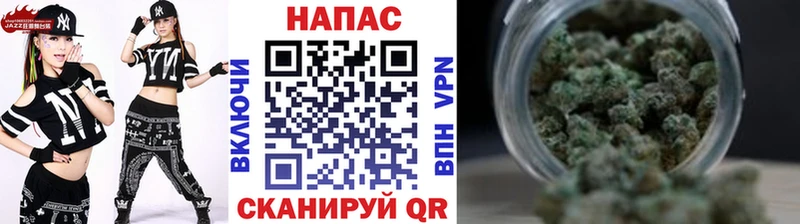 Купить закладки  Жиздра  Конопля ГИДРОПОН 